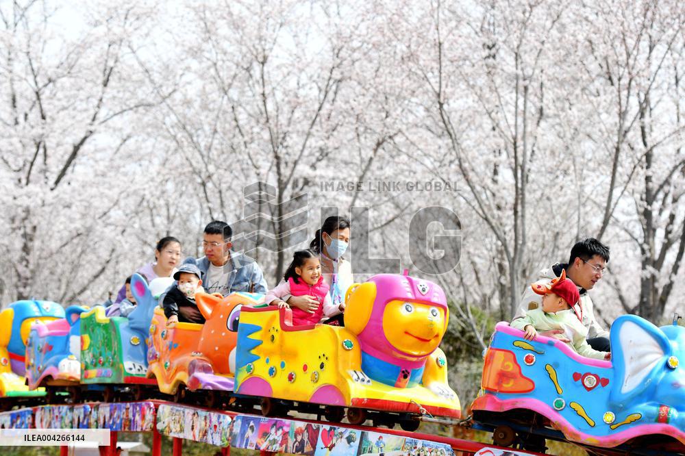 Qingming Festival - China