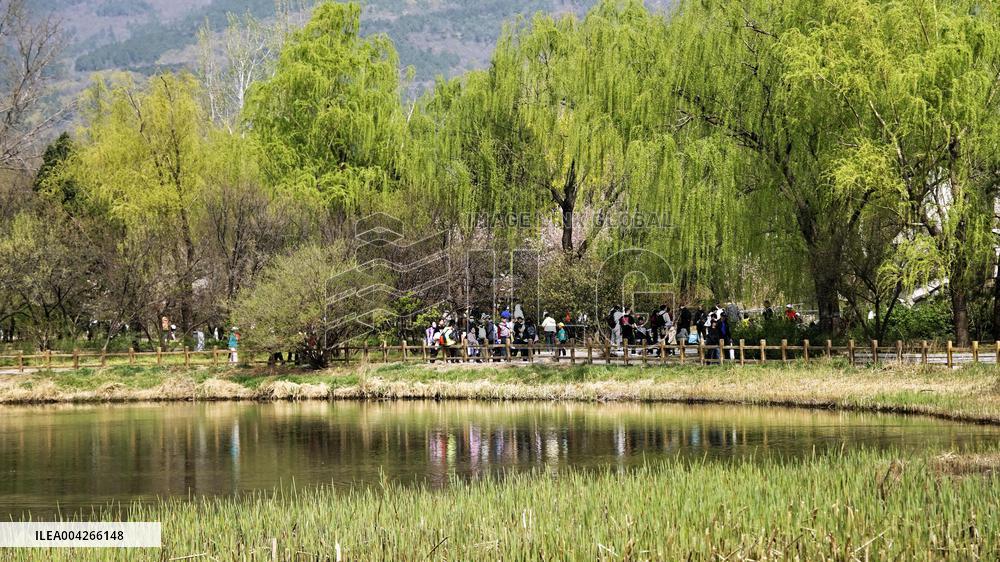 Qingming Festival - China