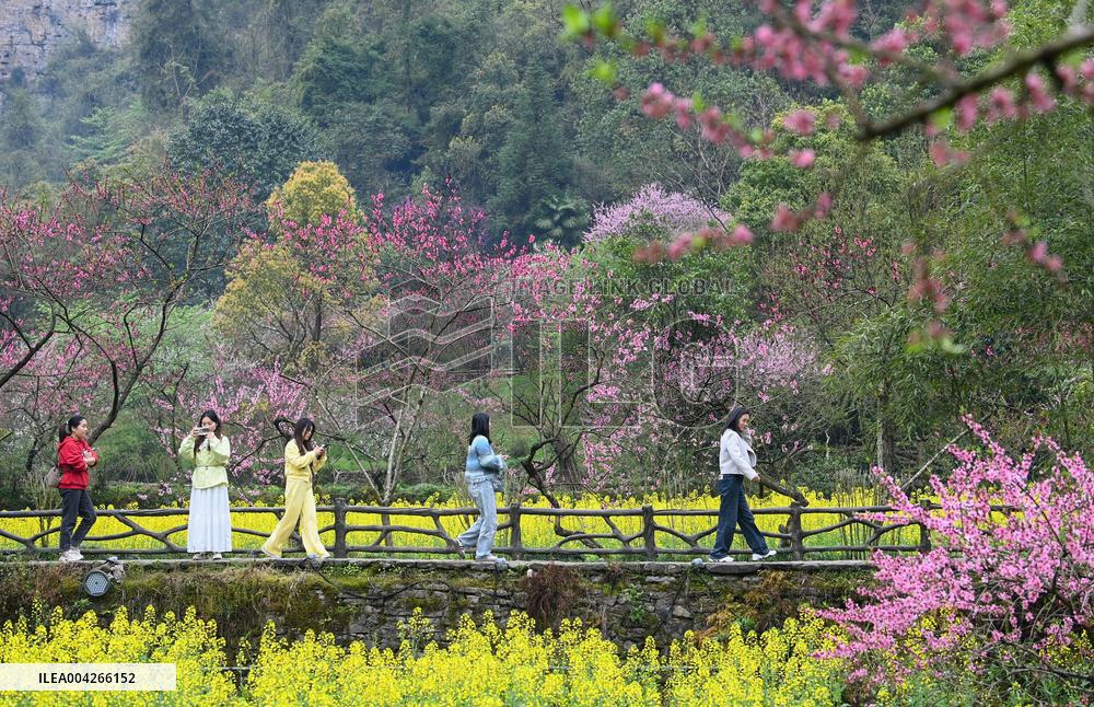 Qingming Festival - China