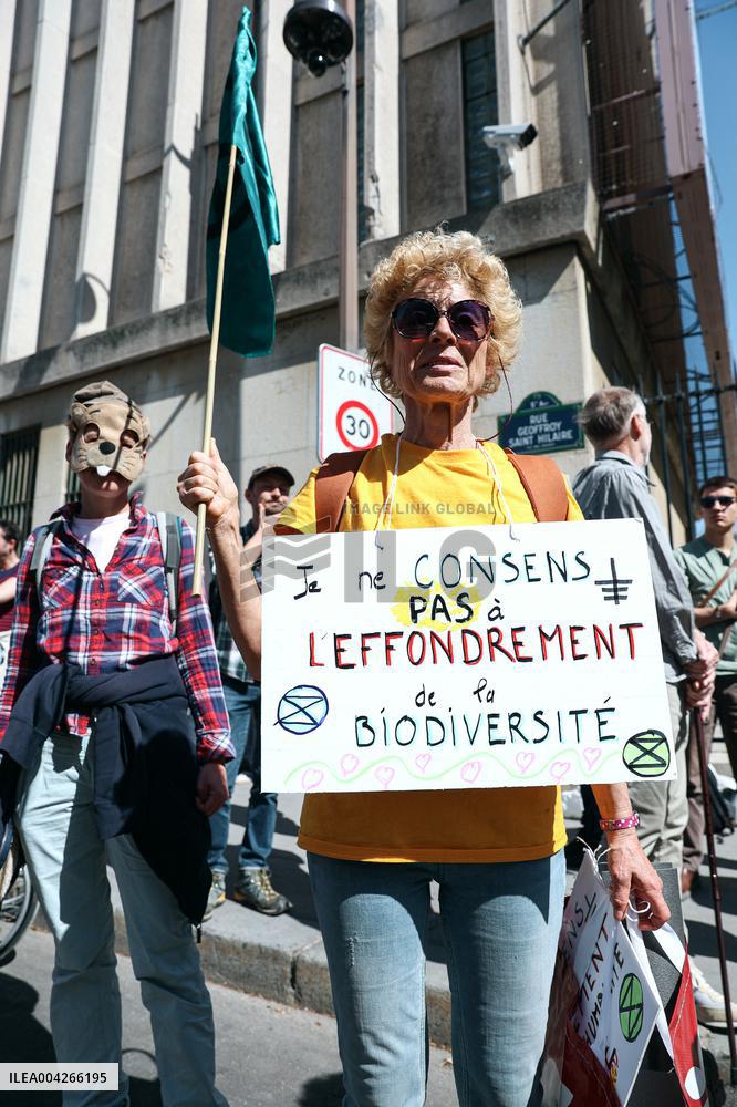 March Against Pesticides - Paris