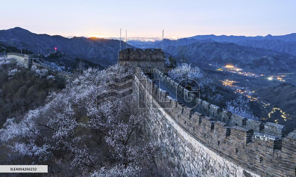 Great Wall Spring Scenery - China
