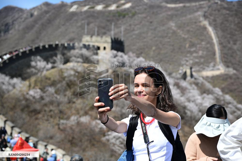 Great Wall Spring Scenery - China