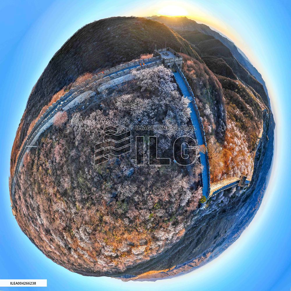 Great Wall Spring Scenery - China