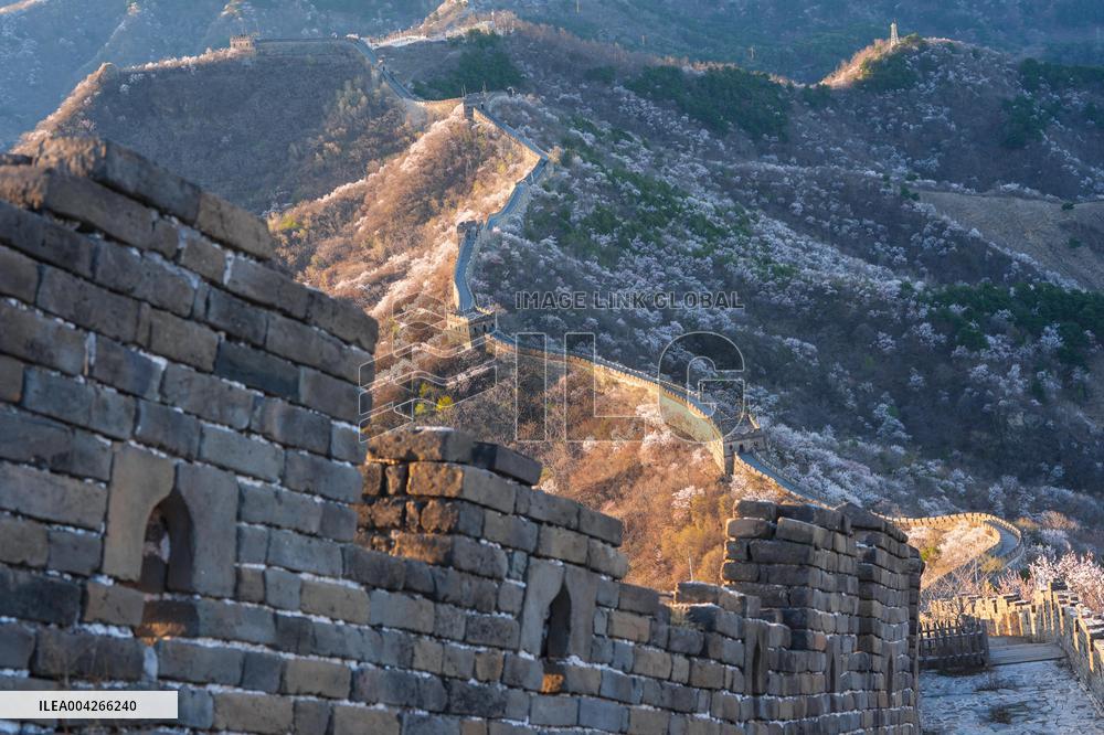 Great Wall Spring Scenery - China