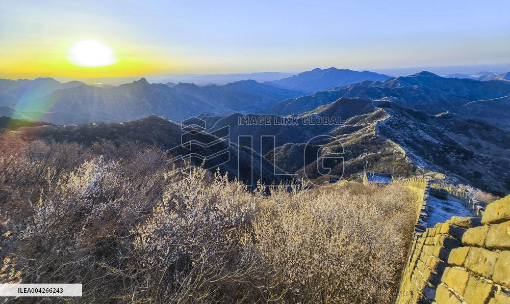 Great Wall Spring Scenery - China