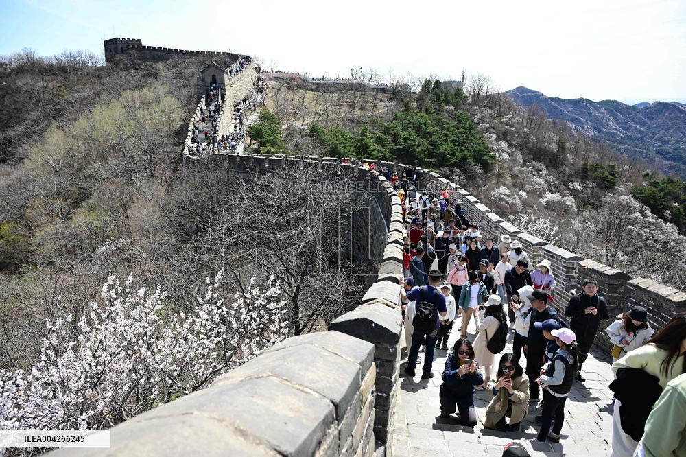 Great Wall Spring Scenery - China