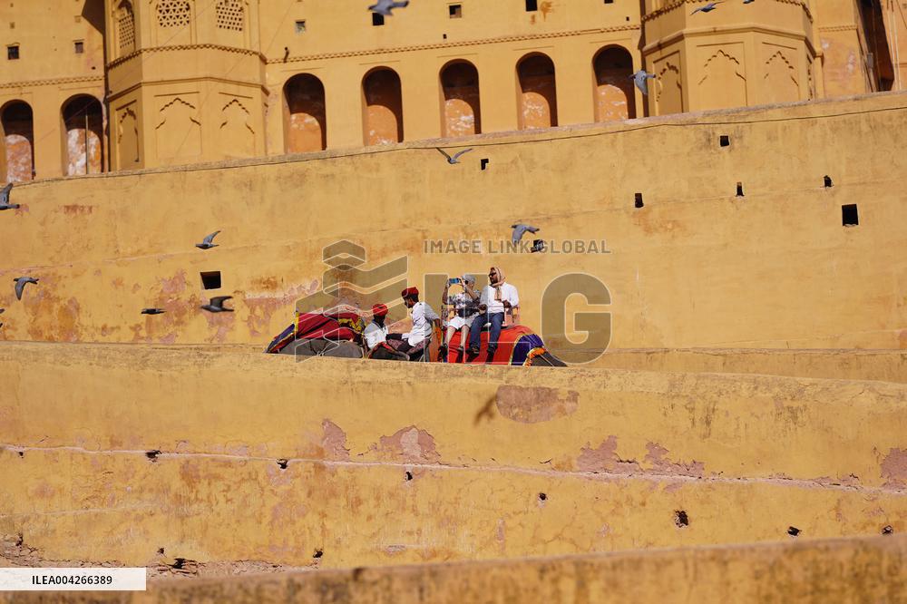 Touristic Elephant Ride - India