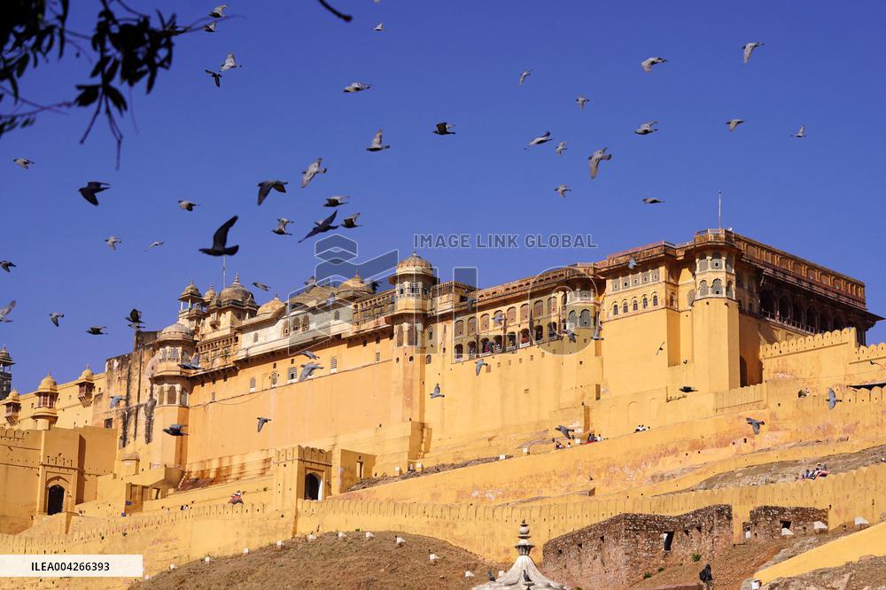 Touristic Elephant Ride - India