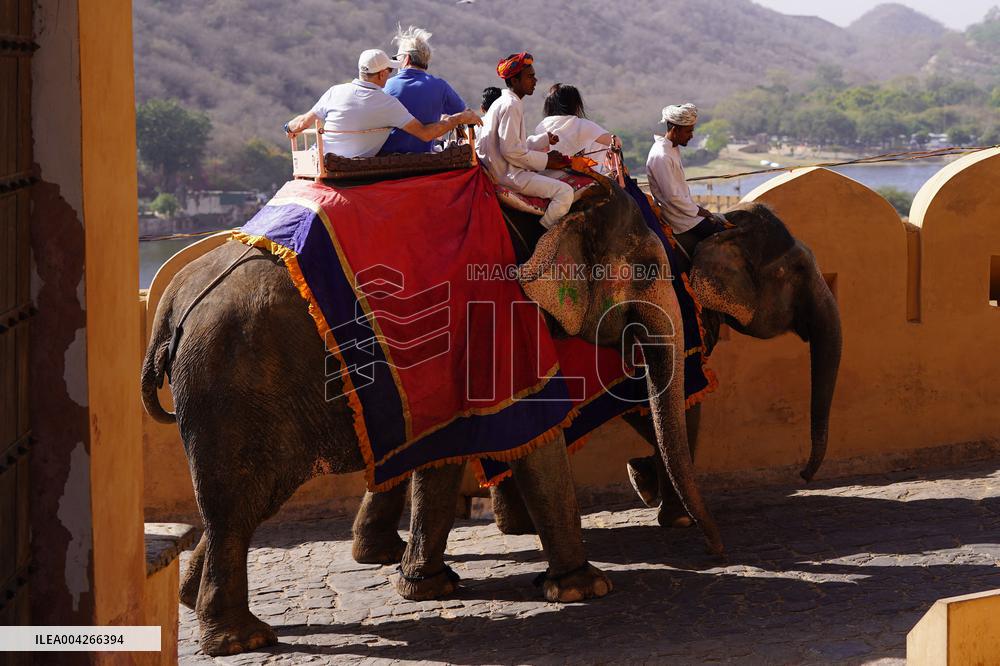 Touristic Elephant Ride - India