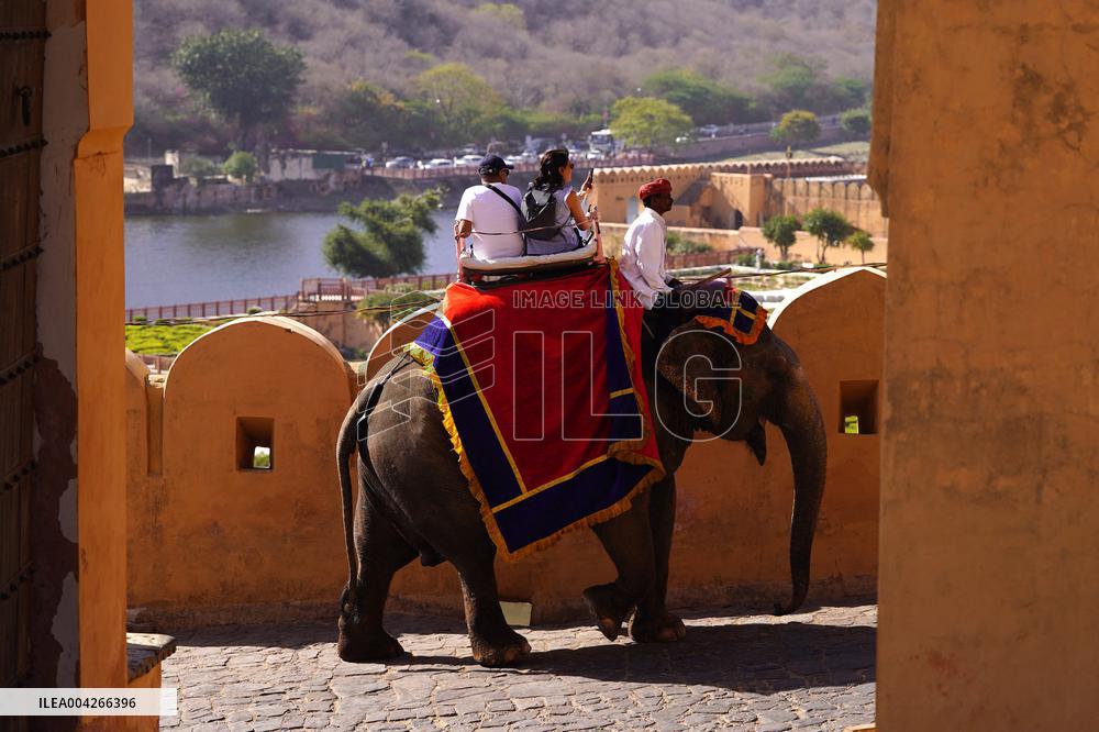 Touristic Elephant Ride - India
