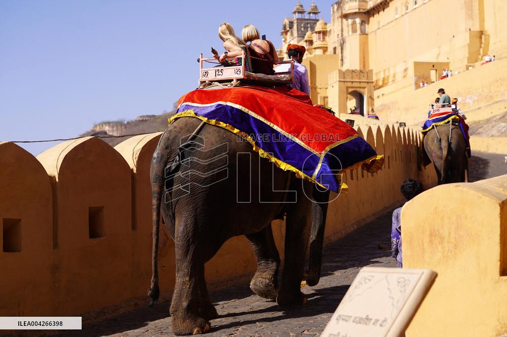 Touristic Elephant Ride - India