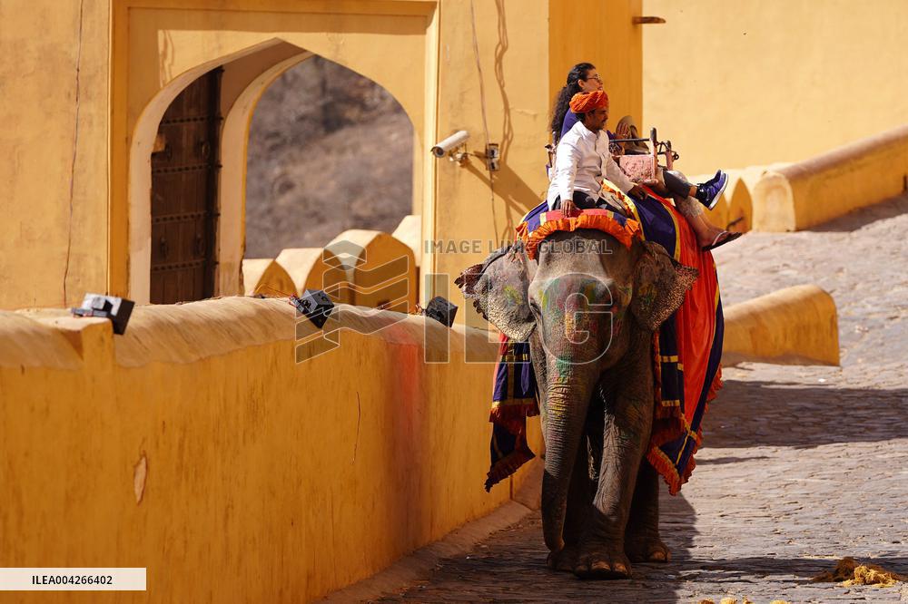 Touristic Elephant Ride - India