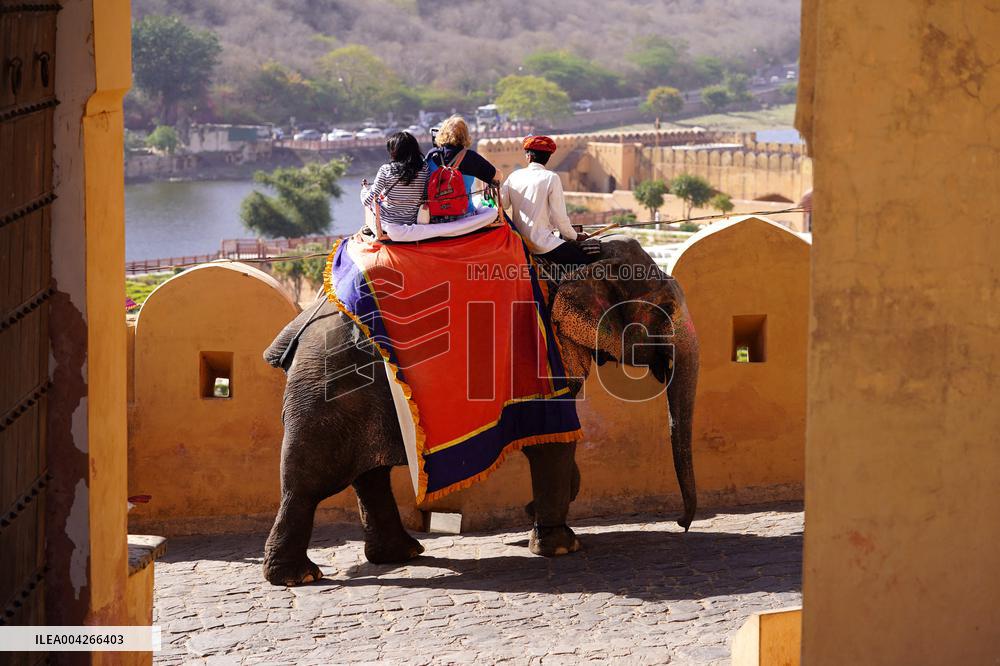 Touristic Elephant Ride - India