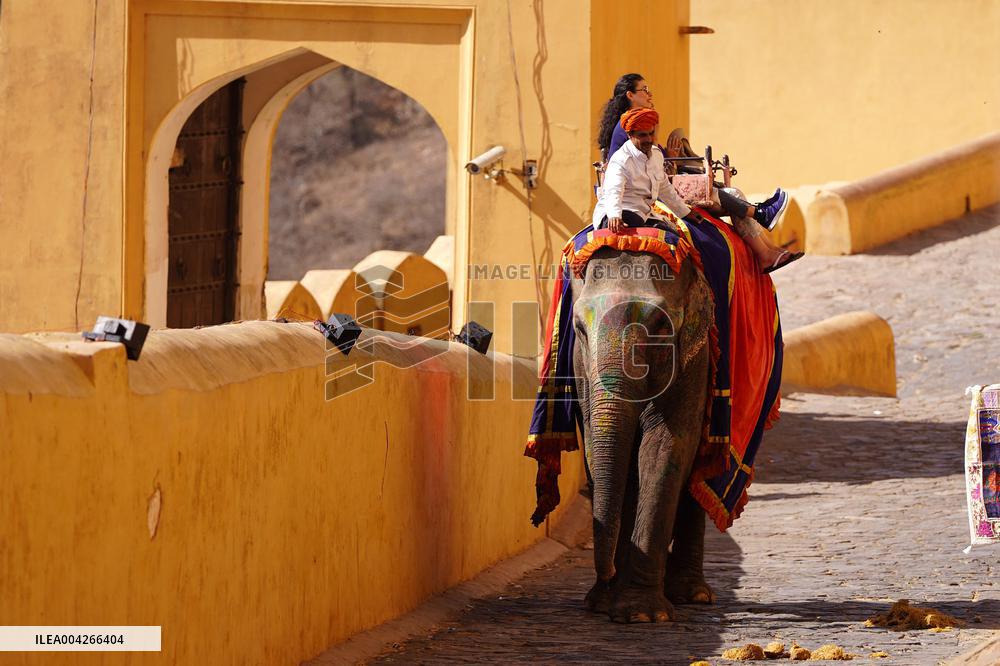 Touristic Elephant Ride - India