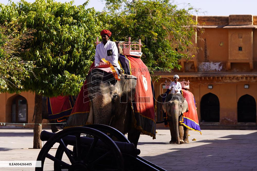 Touristic Elephant Ride - India
