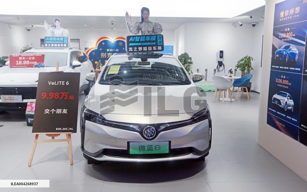 China First New Energy Electric Vehicle District Auto Show