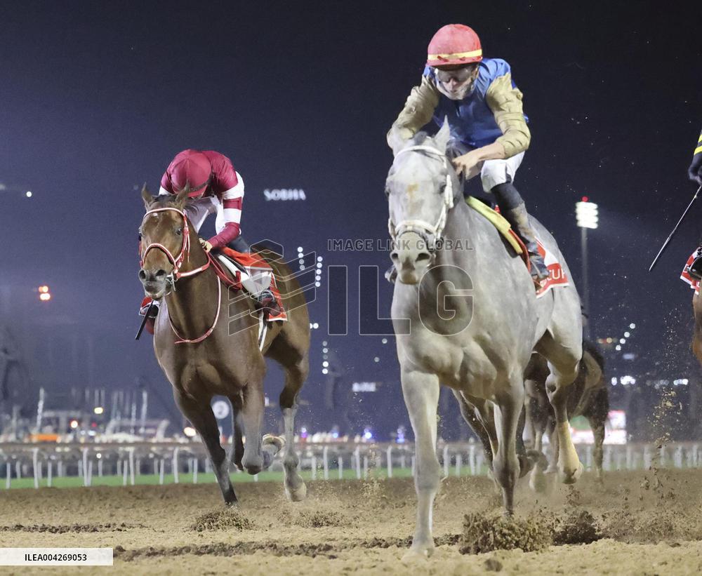 Horse racing: Dubai World Cup