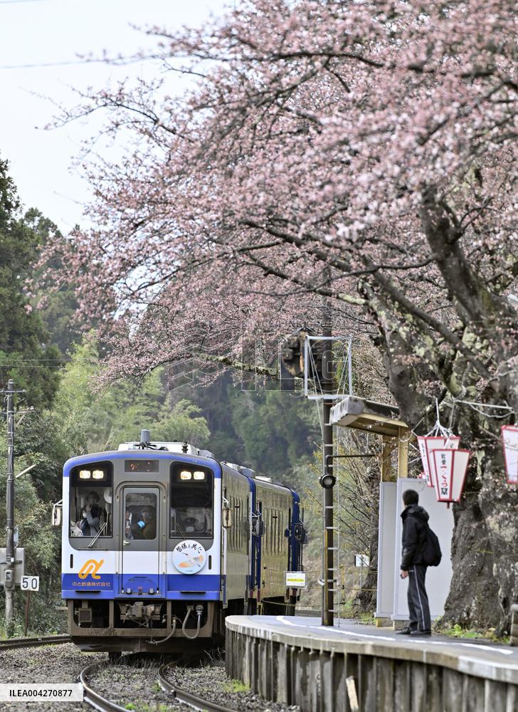 Quake-hit Noto Railway's special sightseeing train