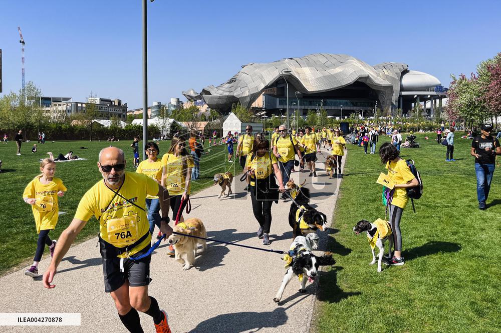 Arcaplanet Dog Run 2025 for Paws and Owners in Milan