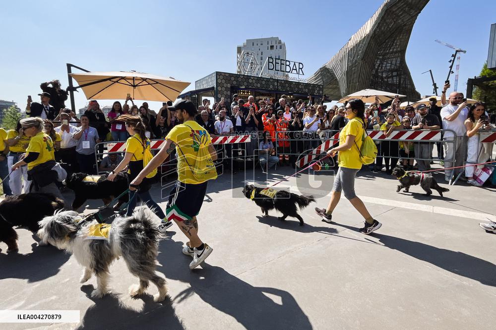 Arcaplanet Dog Run 2025 for Paws and Owners in Milan
