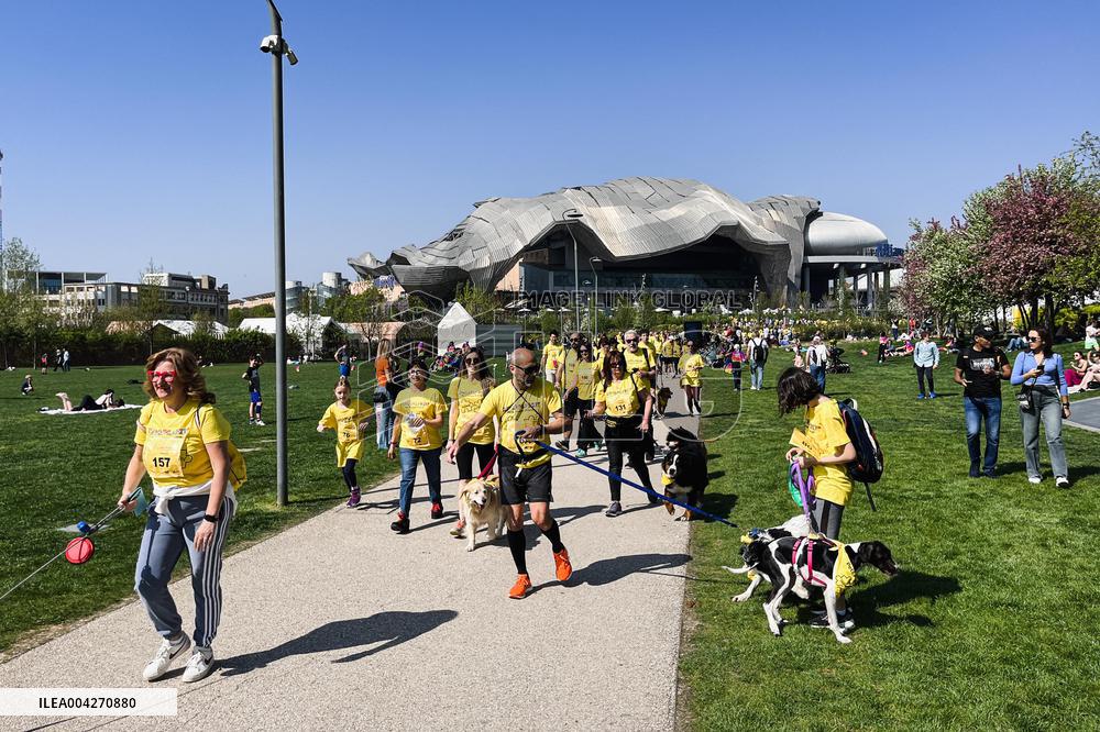 Arcaplanet Dog Run 2025 for Paws and Owners in Milan