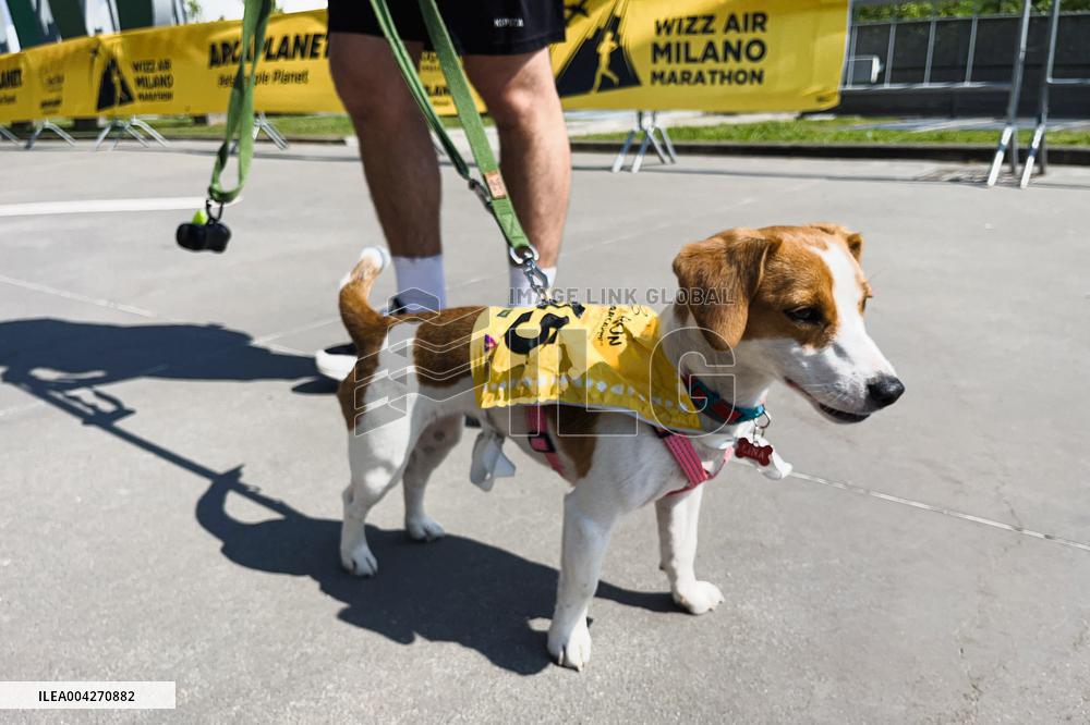Arcaplanet Dog Run 2025 for Paws and Owners in Milan