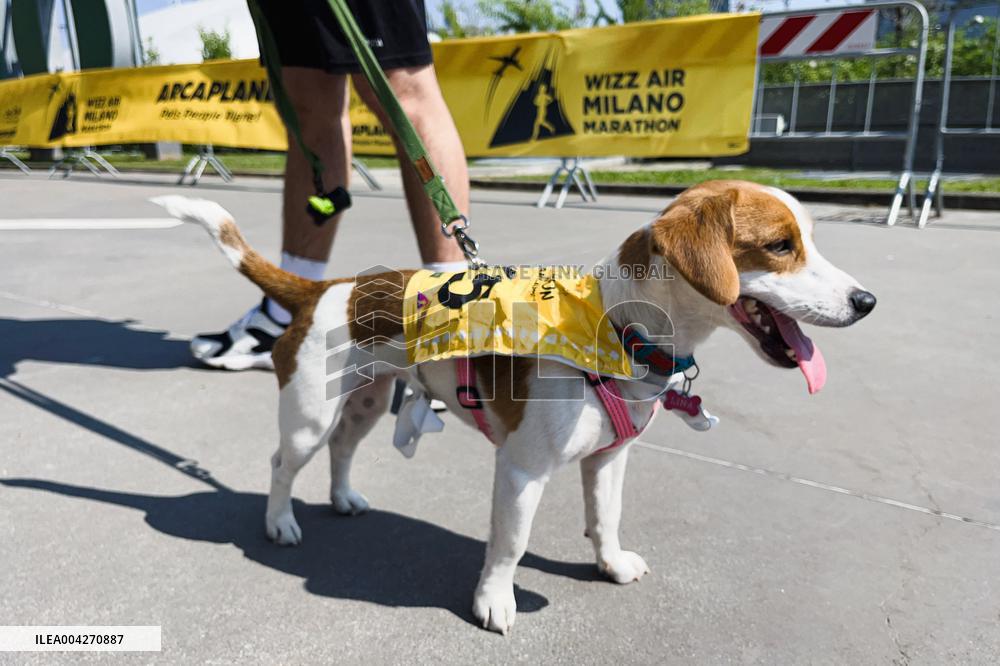 Arcaplanet Dog Run 2025 for Paws and Owners in Milan