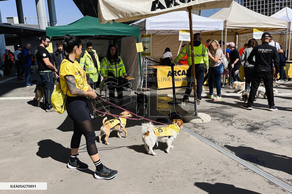 Arcaplanet Dog Run 2025 for Paws and Owners in Milan