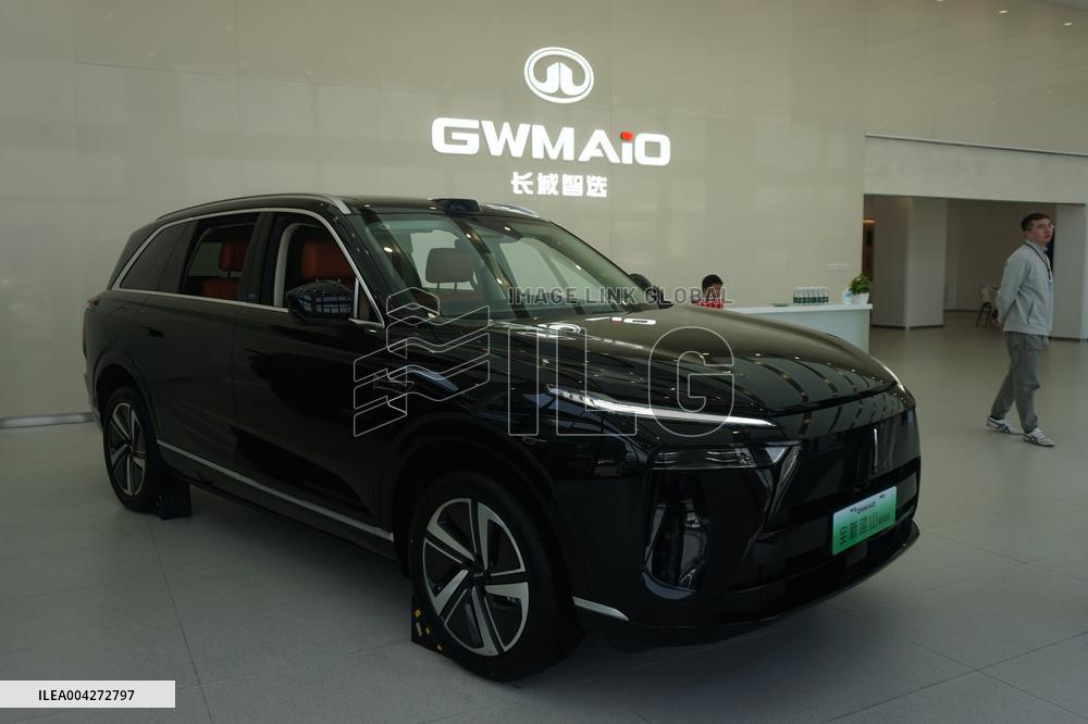 GWM 2025 Q1 Sales Decrease