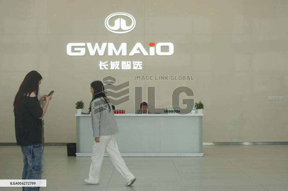 GWM 2025 Q1 Sales Decrease