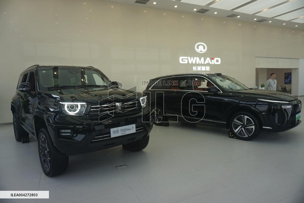 GWM 2025 Q1 Sales Decrease