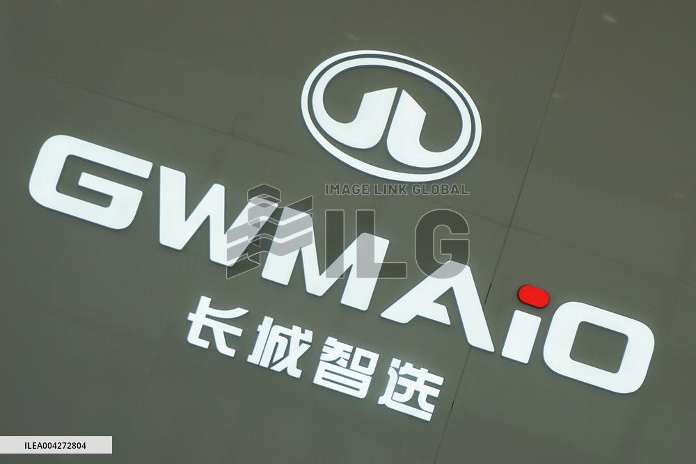GWM 2025 Q1 Sales Decrease