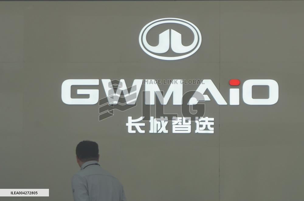 GWM 2025 Q1 Sales Decrease