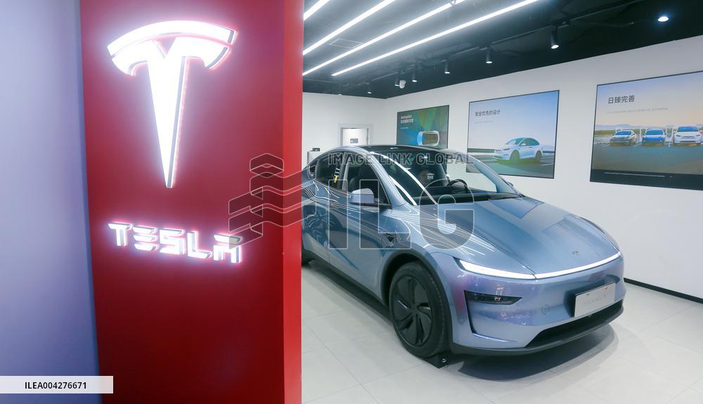 Tesla 2025 Q1 Decline