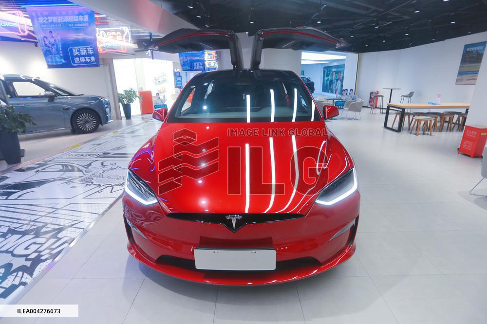 Tesla 2025 Q1 Decline