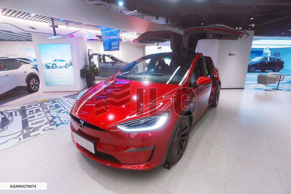 Tesla 2025 Q1 Decline