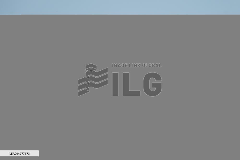 Egrets Breeding in Chongqing