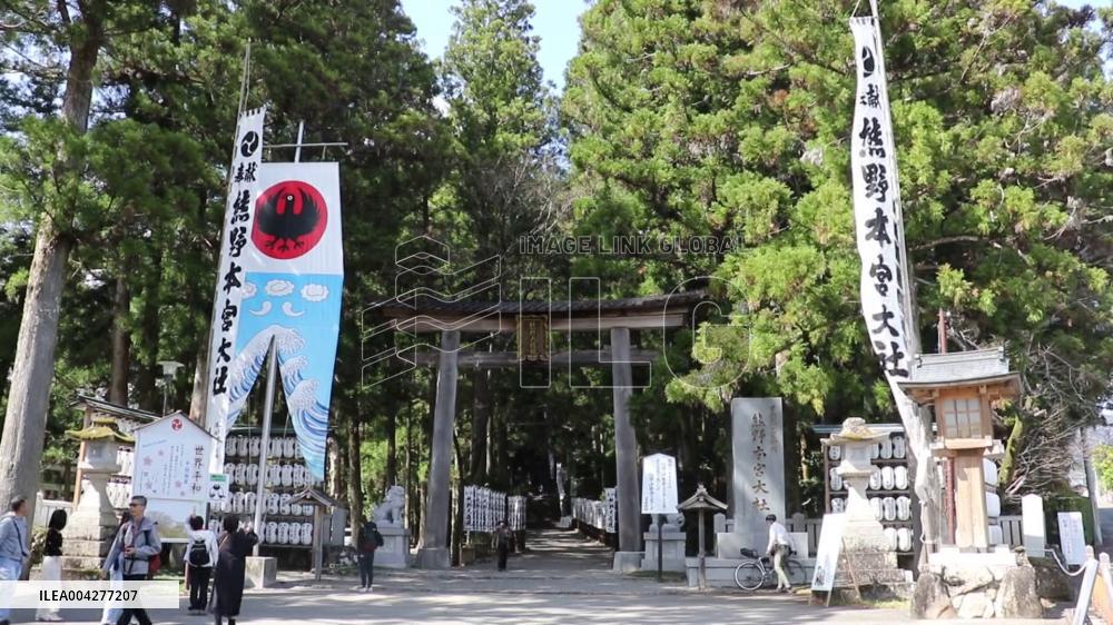 Imitation chrysanthemum production peaks in western Japan