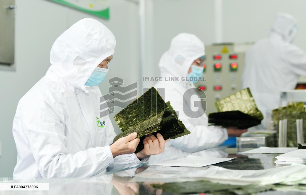 Sushi Nori Manufacturing in Hai'an
