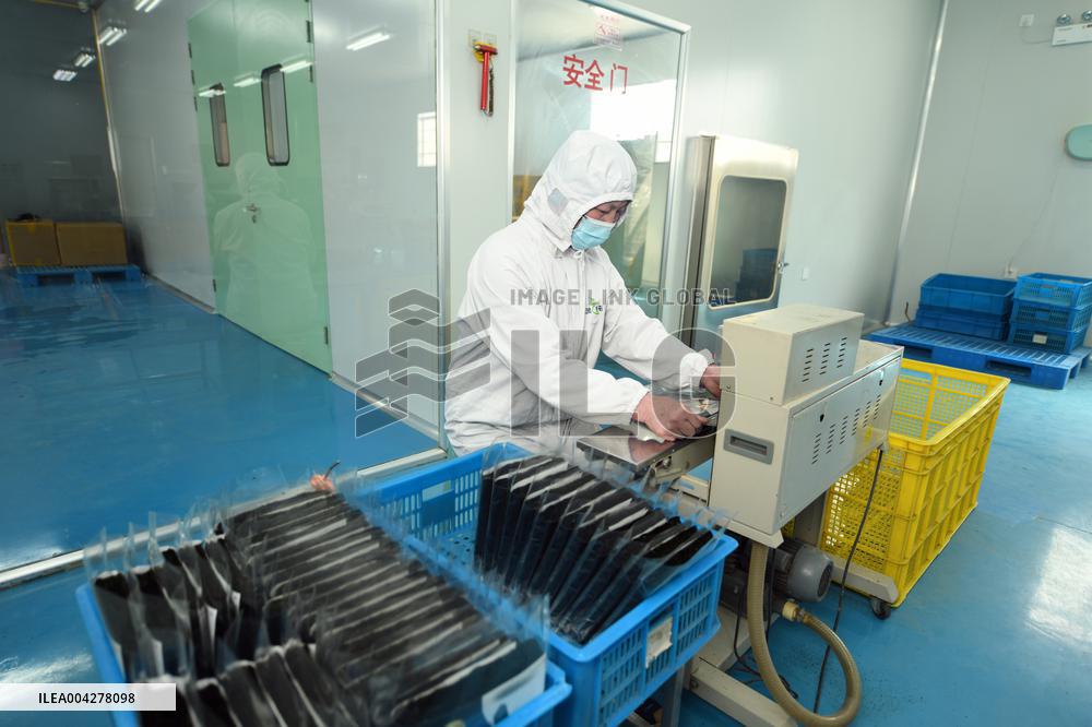 Sushi Nori Manufacturing in Hai'an