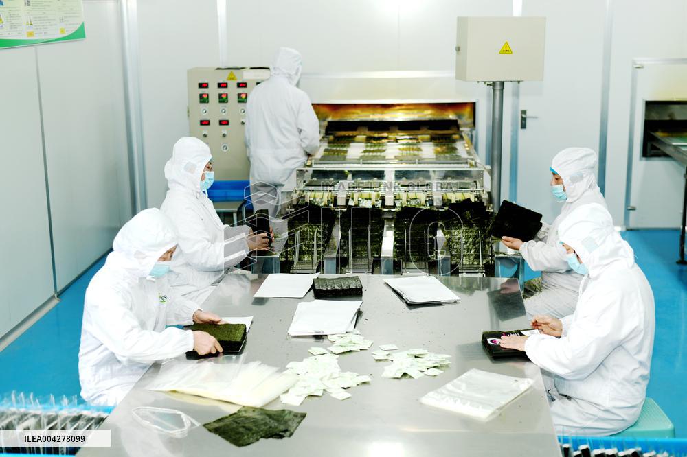 Sushi Nori Manufacturing in Hai'an