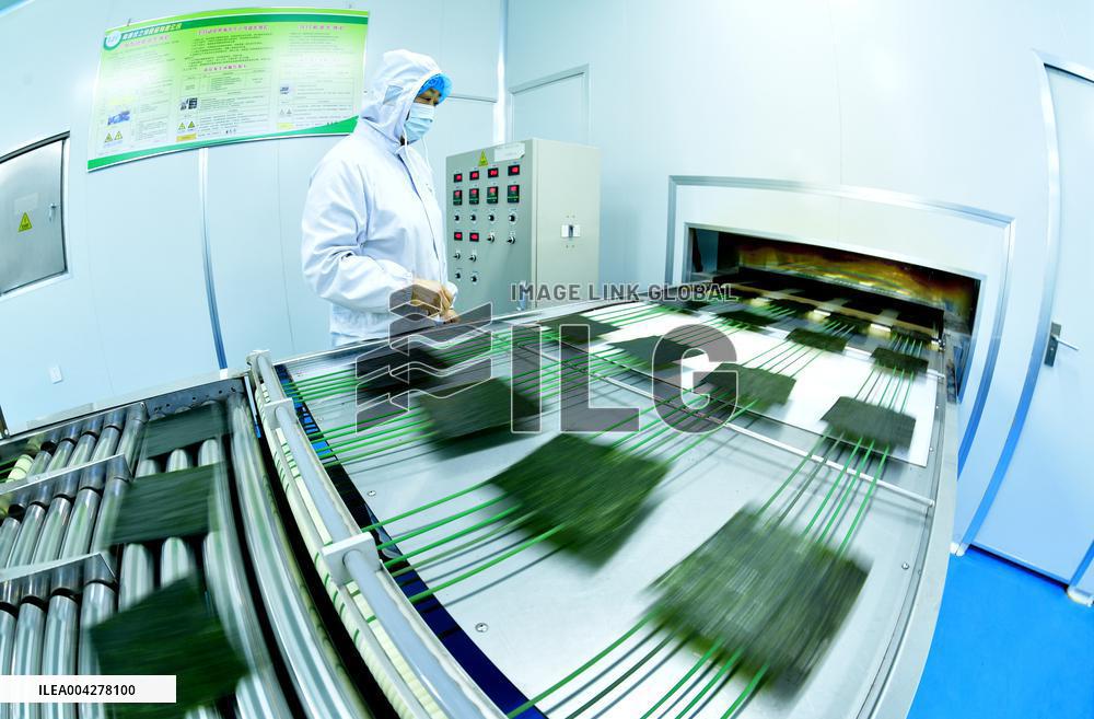 Sushi Nori Manufacturing in Hai'an