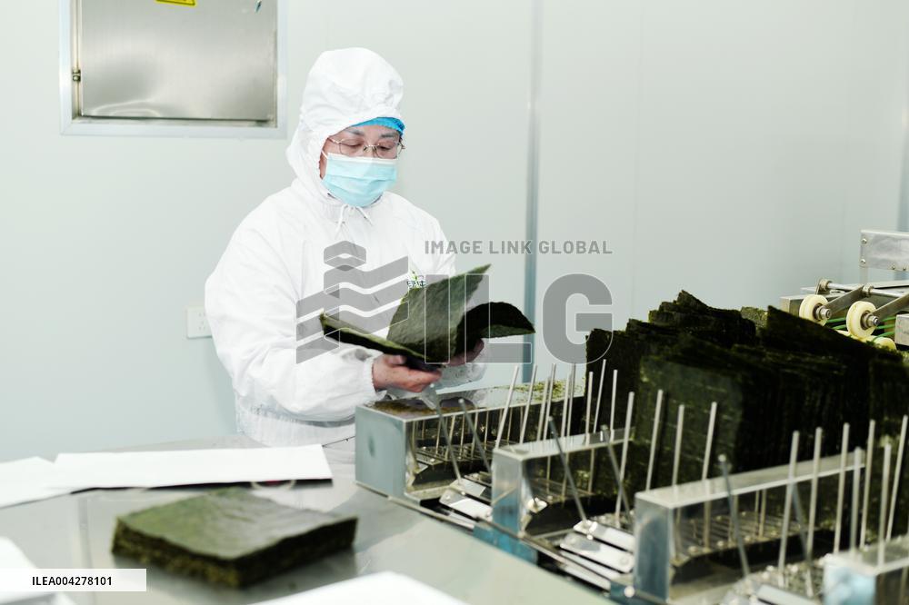 Sushi Nori Manufacturing in Hai'an