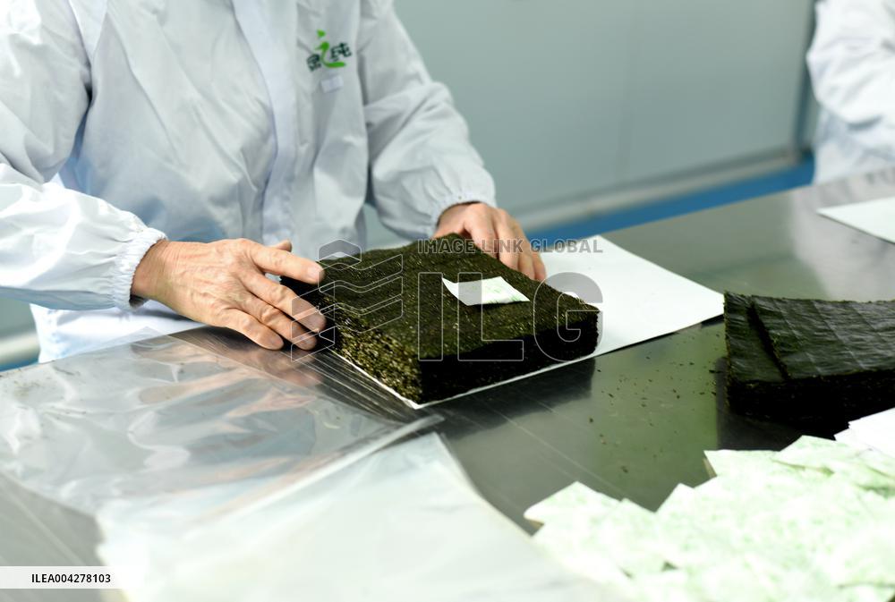 Sushi Nori Manufacturing in Hai'an