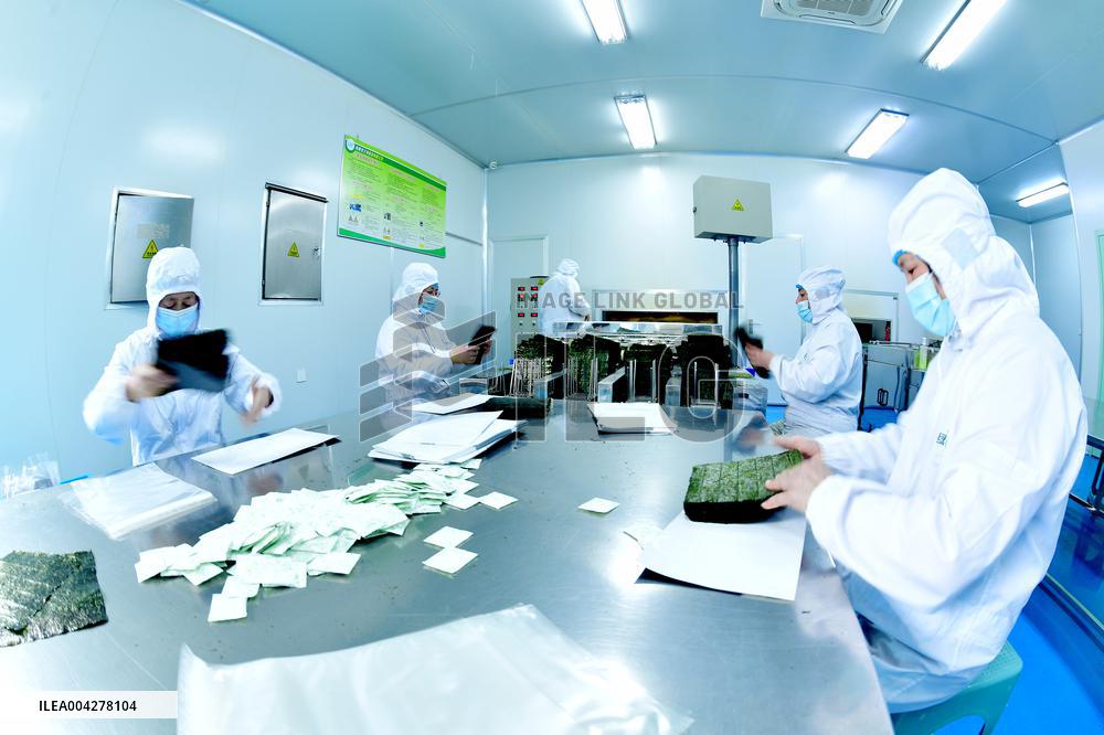 Sushi Nori Manufacturing in Hai'an