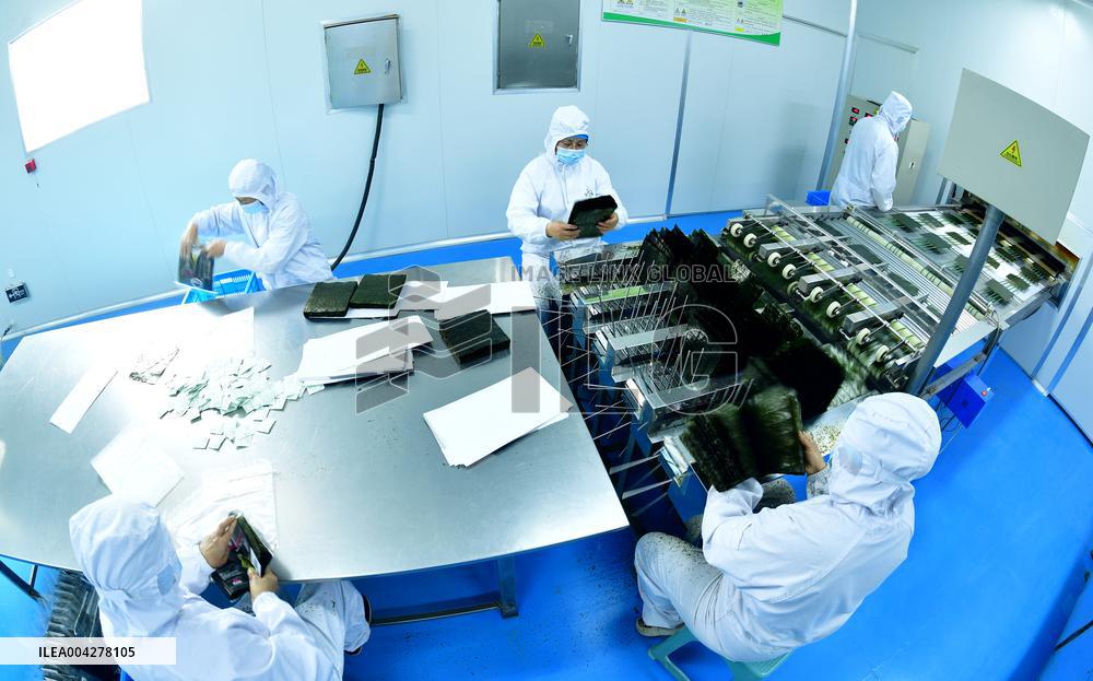 Sushi Nori Manufacturing in Hai'an