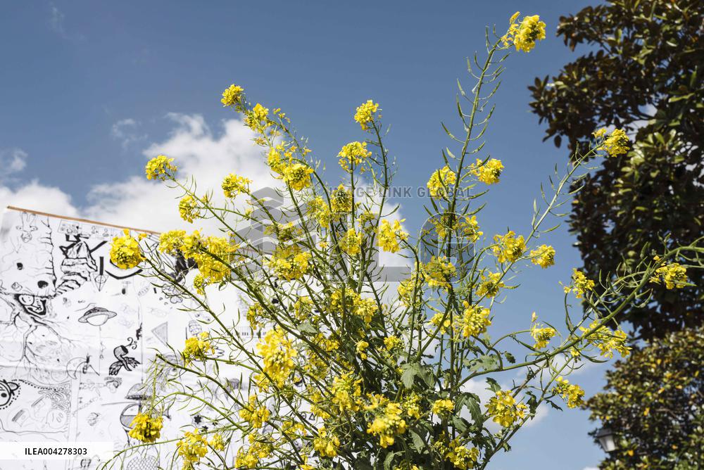 Demonstration Artists Against Precarity in Toulouse