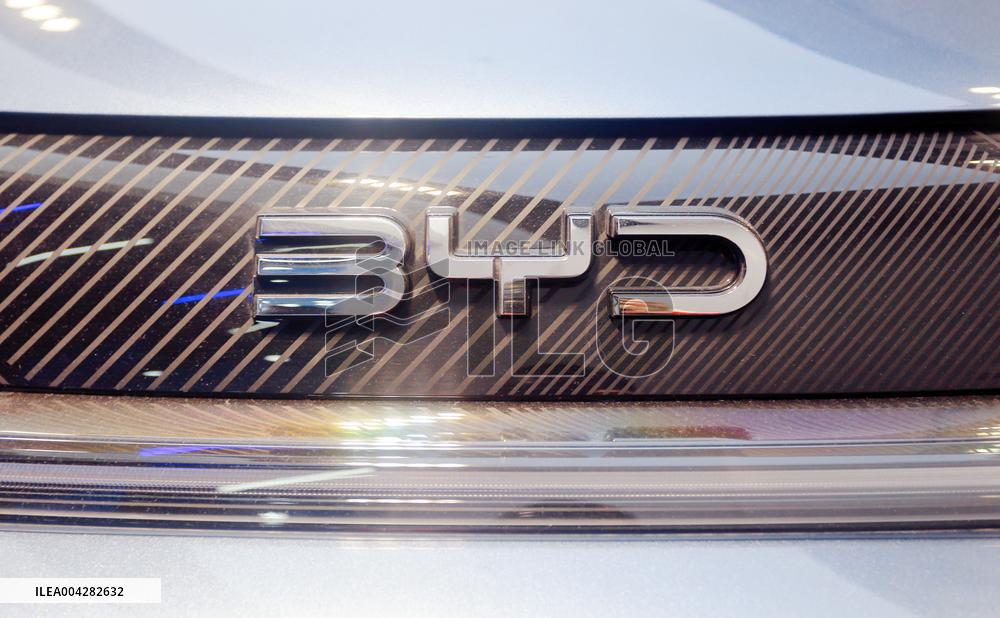 BYE 2025 Q1 Sales Growth