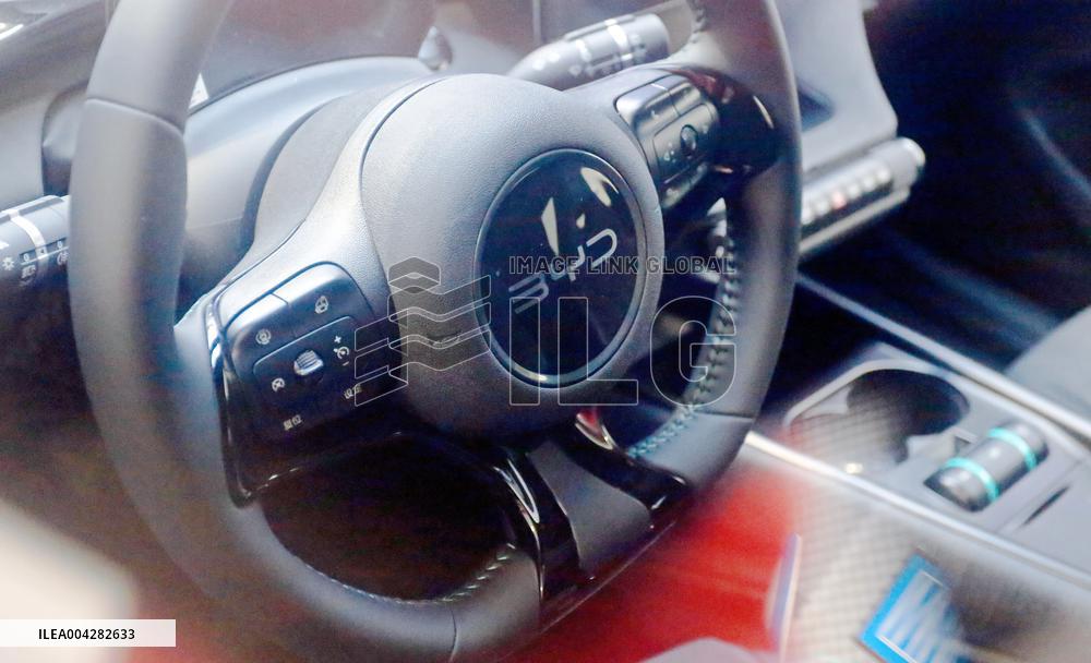 BYE 2025 Q1 Sales Growth