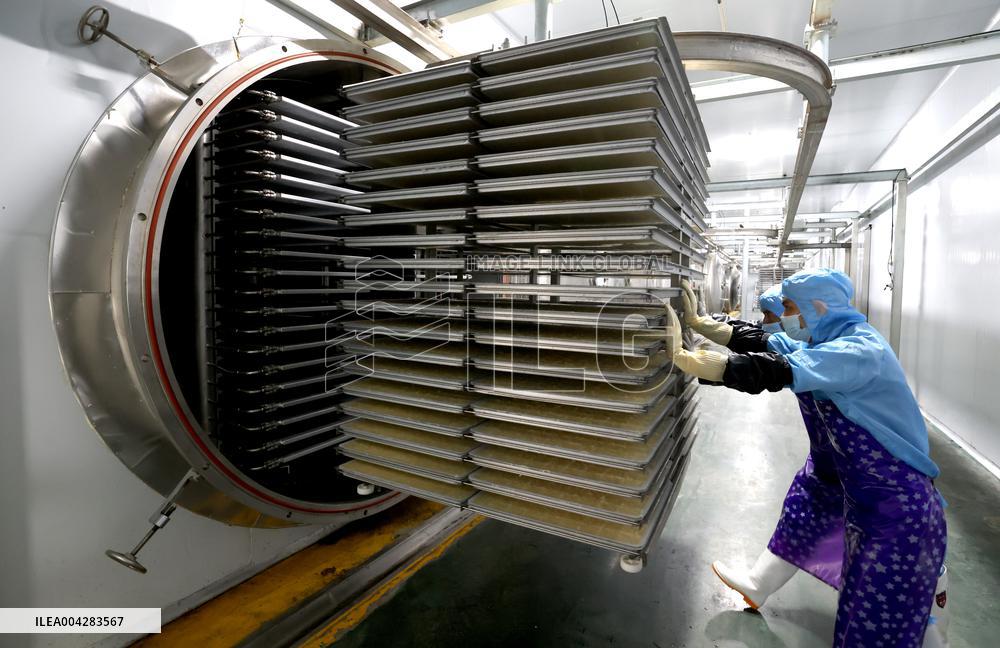 China Largest Commercial Production Base For Edible Fungi